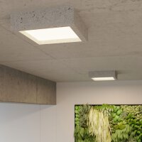 Deckenleuchte RIZA Beton