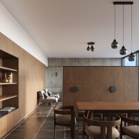 Pendelleuchte ALINO 1 schwarz